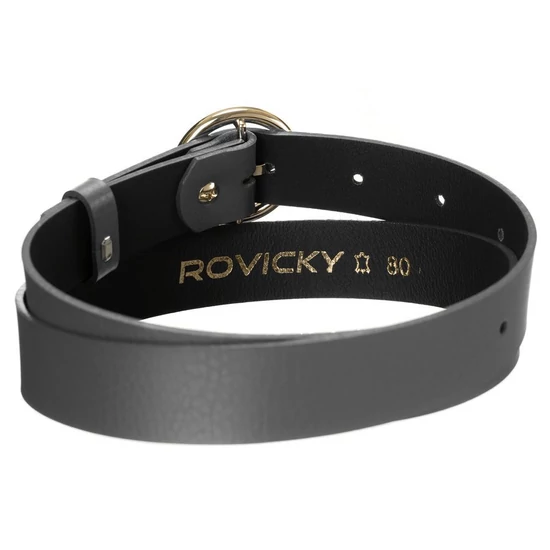 Fényes bőr női öv arany kerek csattal - Rovicky 90 cm