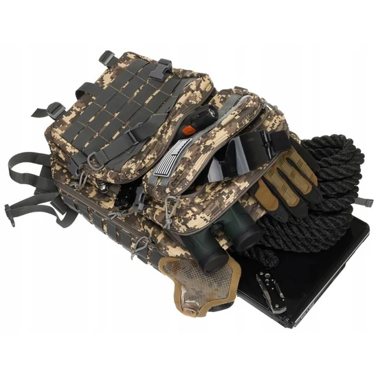 Peterson 