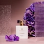 Ajándékcsomag: női pénztárca és Peterson Lizard eau de parfum PTN ZD30