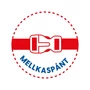 Herlitz iskolatáska SoftFlex Plus Dino 50025633